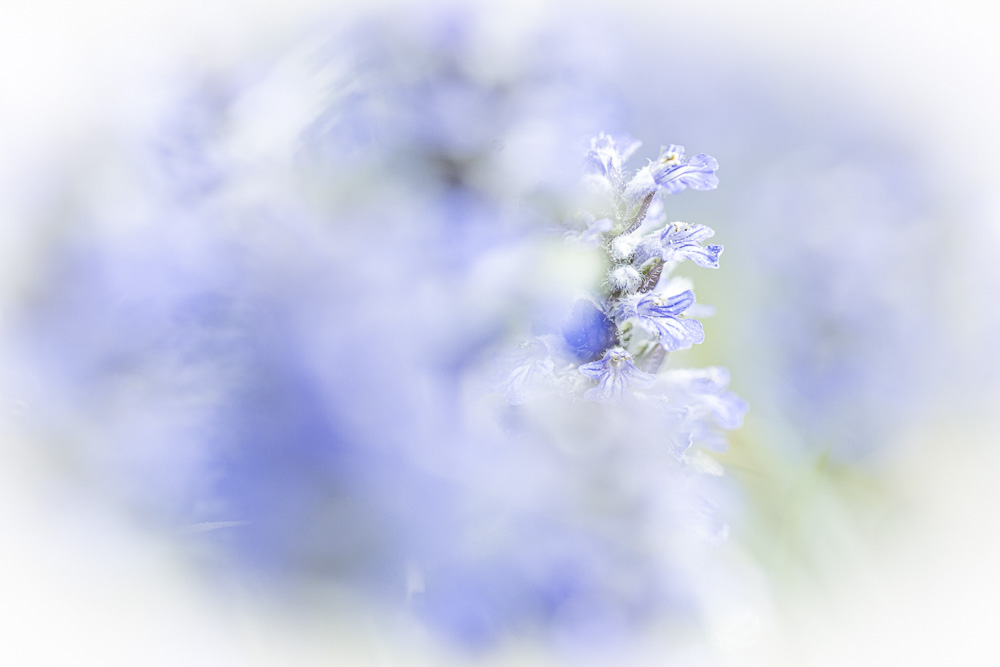 Platz 2 Conny Kleiner